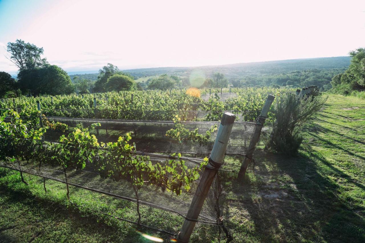 Cabana Sol Finca Pu Duam Villa General Belgrano Buitenkant foto